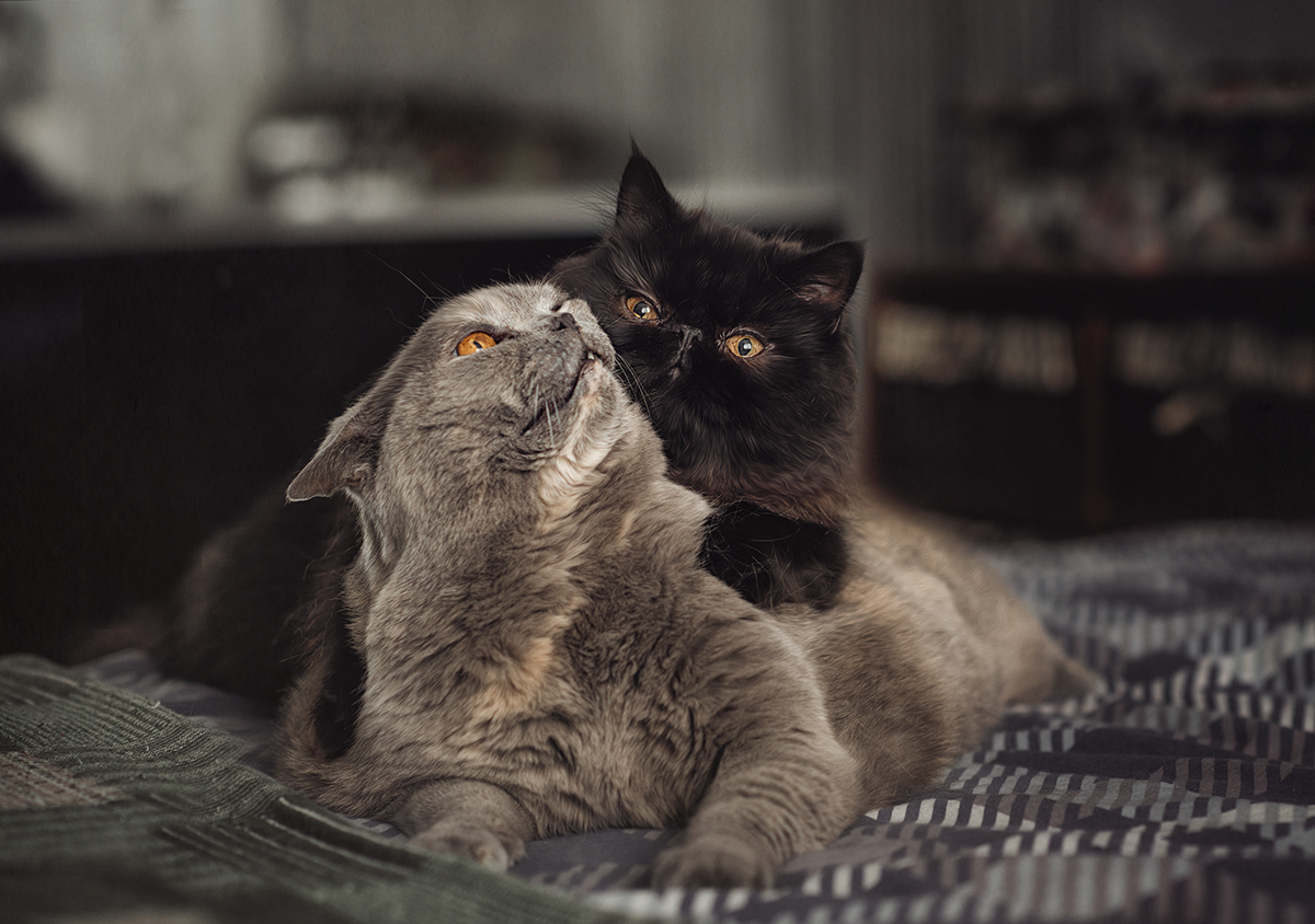 Один любит, другая терпит...)