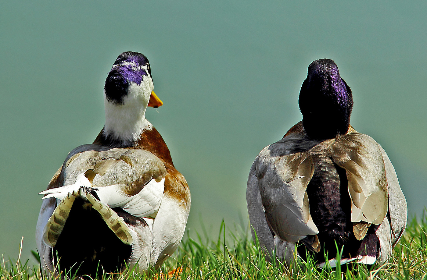 Хорошо сидим!