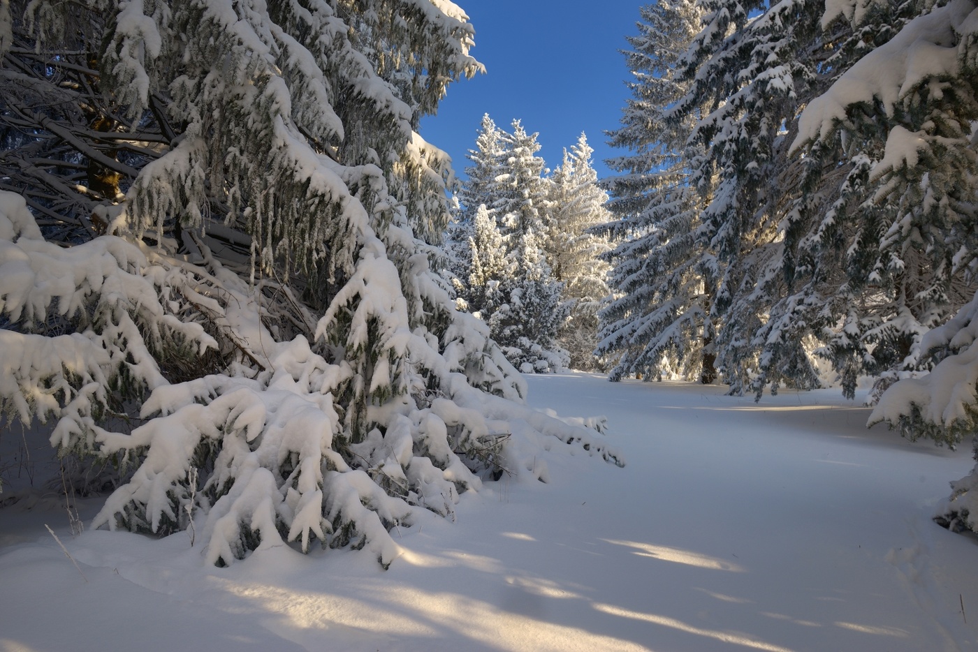 Зимнее утро