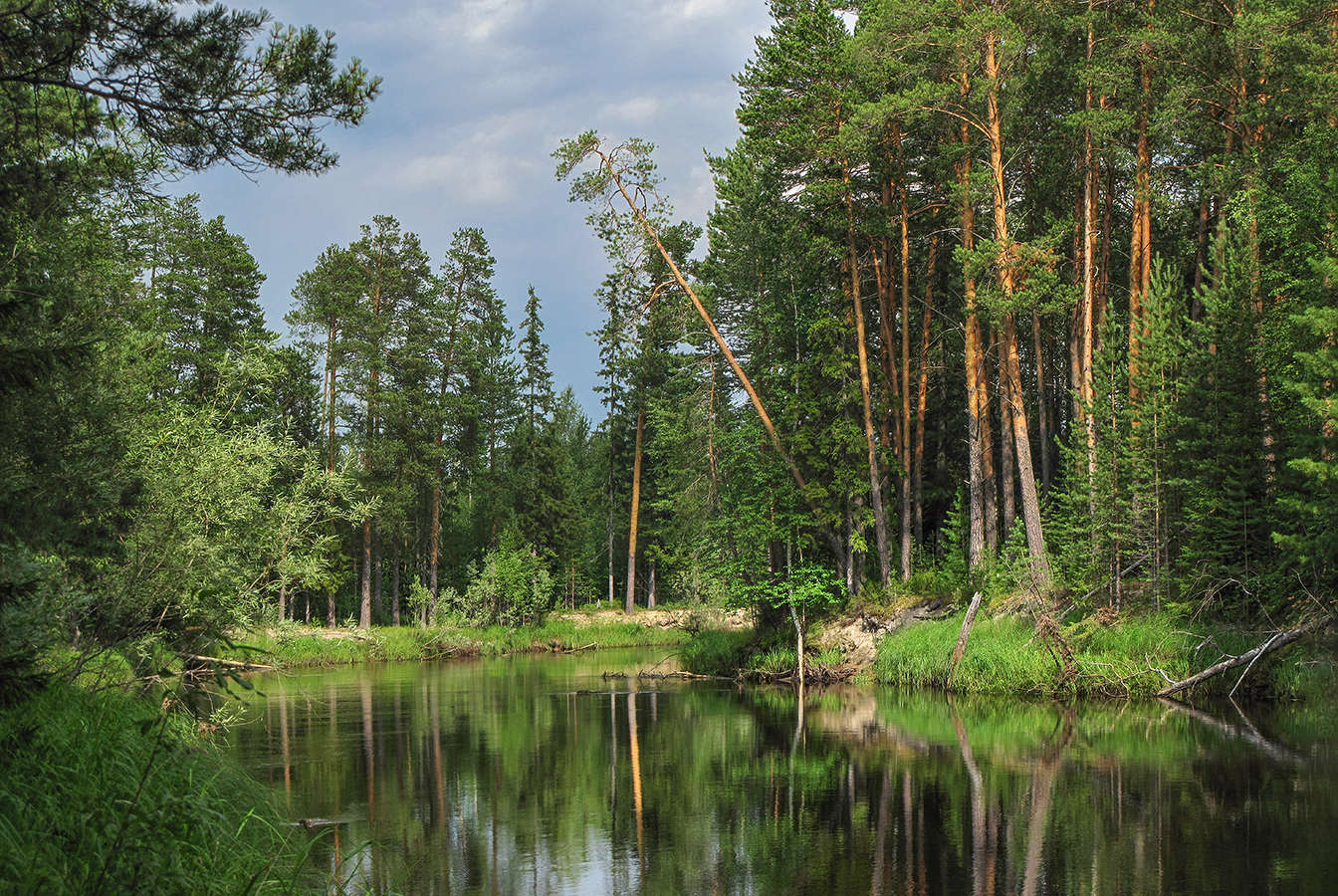 ... речка таёжная... сосны вокруг...