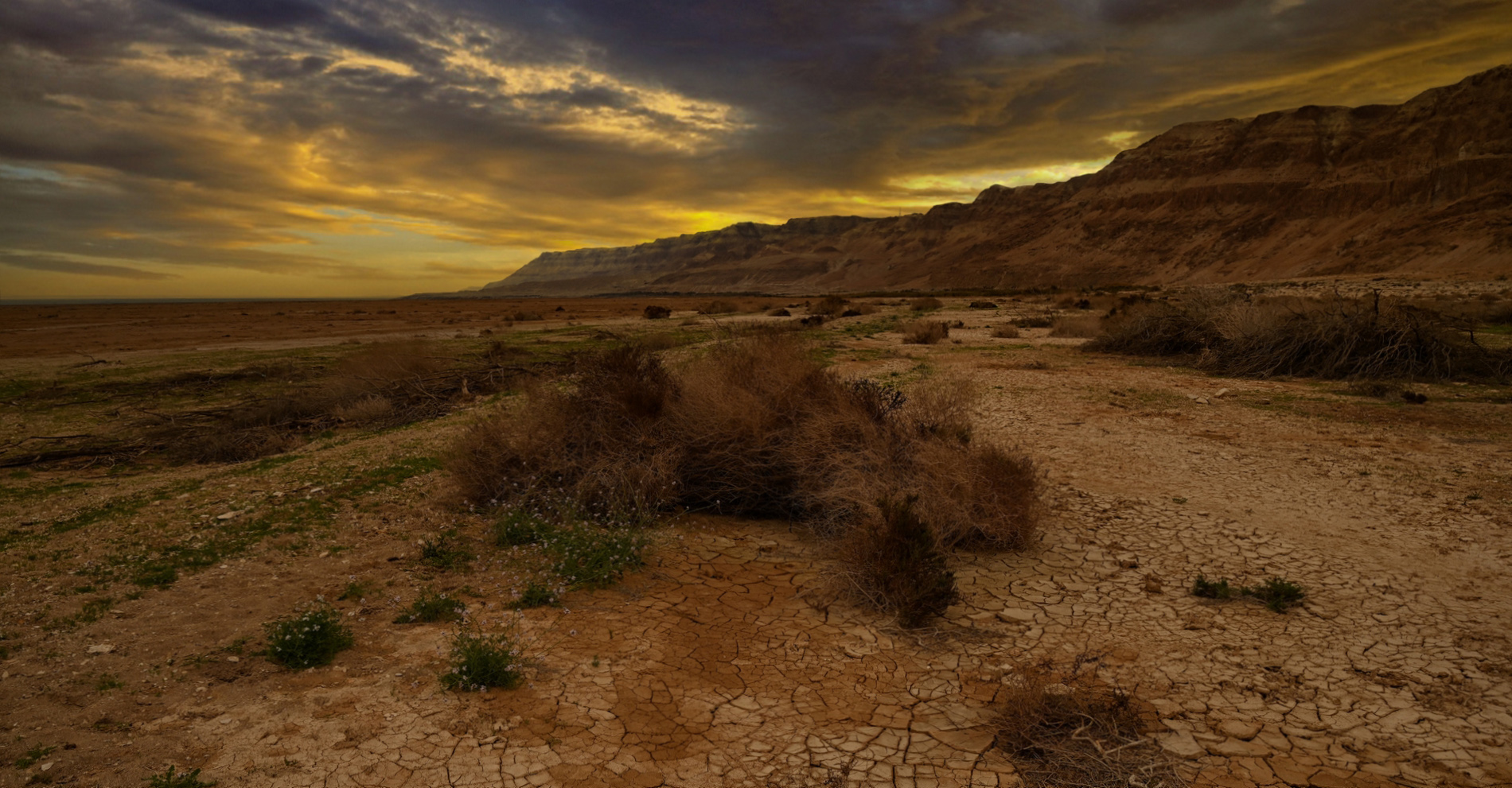 Рассвет в Иудейской пустыне