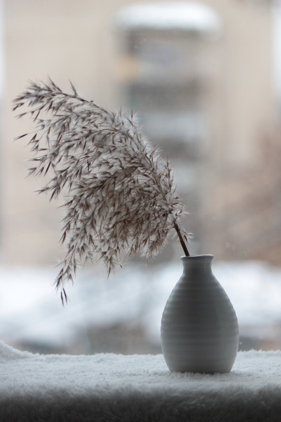 Зима на исходе