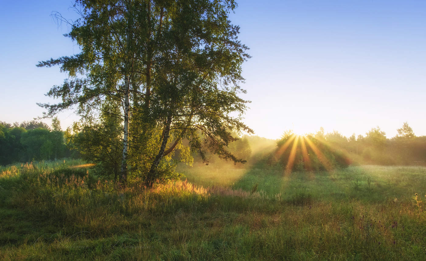 Солнечные ресницы