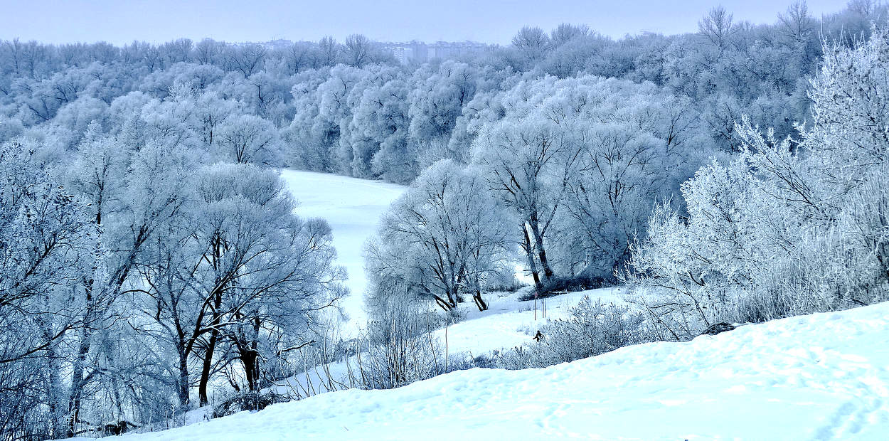 Морозный день февраля