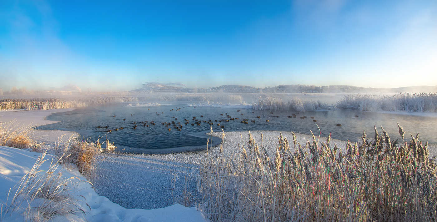 Утренняя прогулка