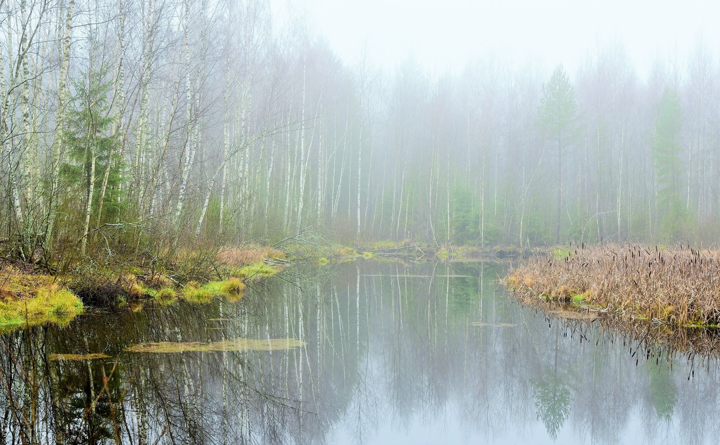 "Над озером туман ворчал, ворчал и сник..."