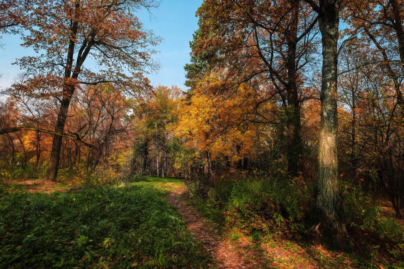 Осенний снимок