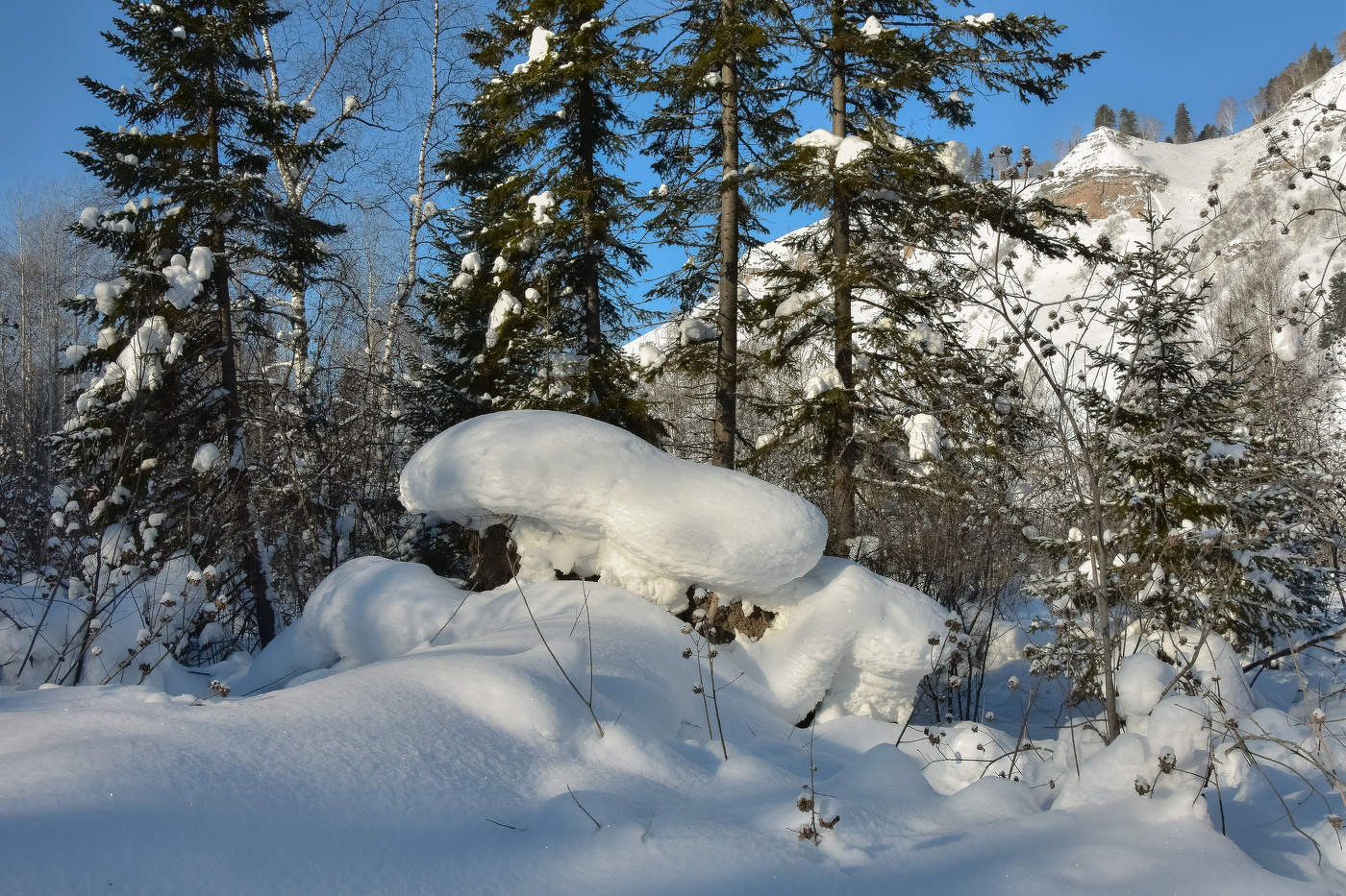 Зима февраль