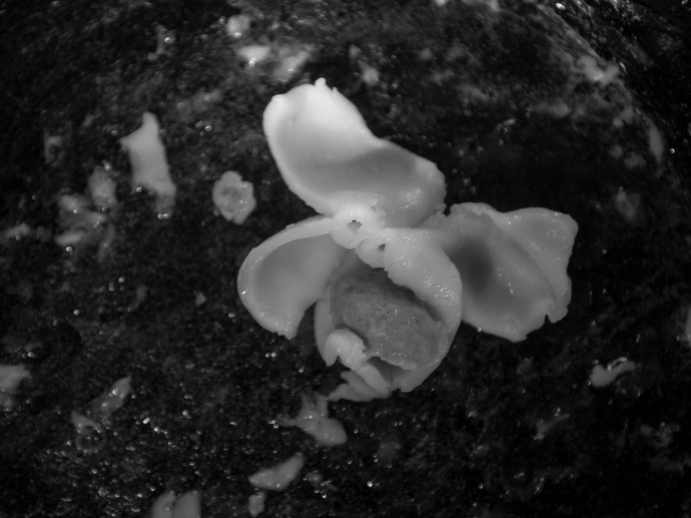 Жизнь вокруг