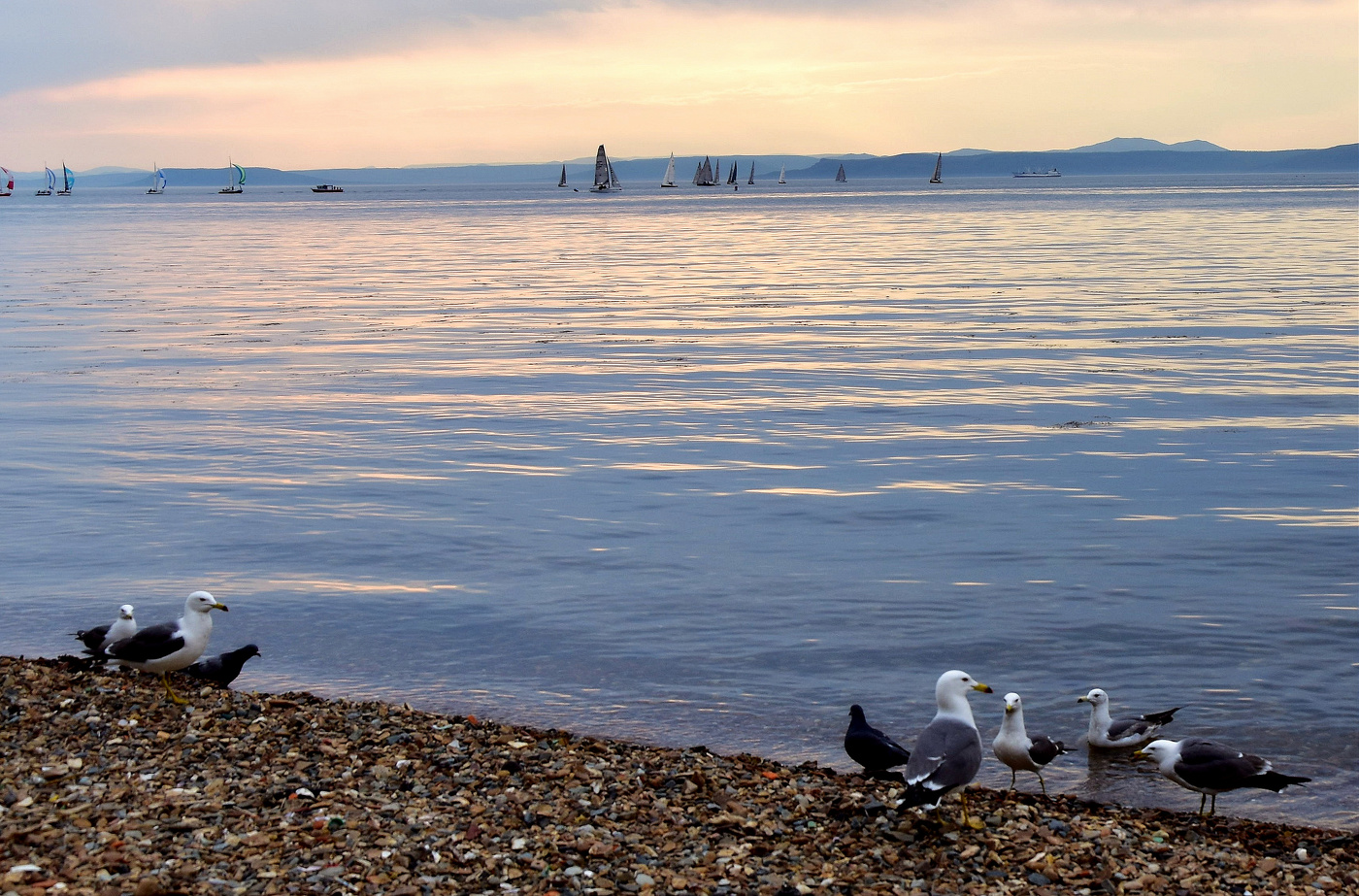 ...и всех нас кто-то ждет на берегу