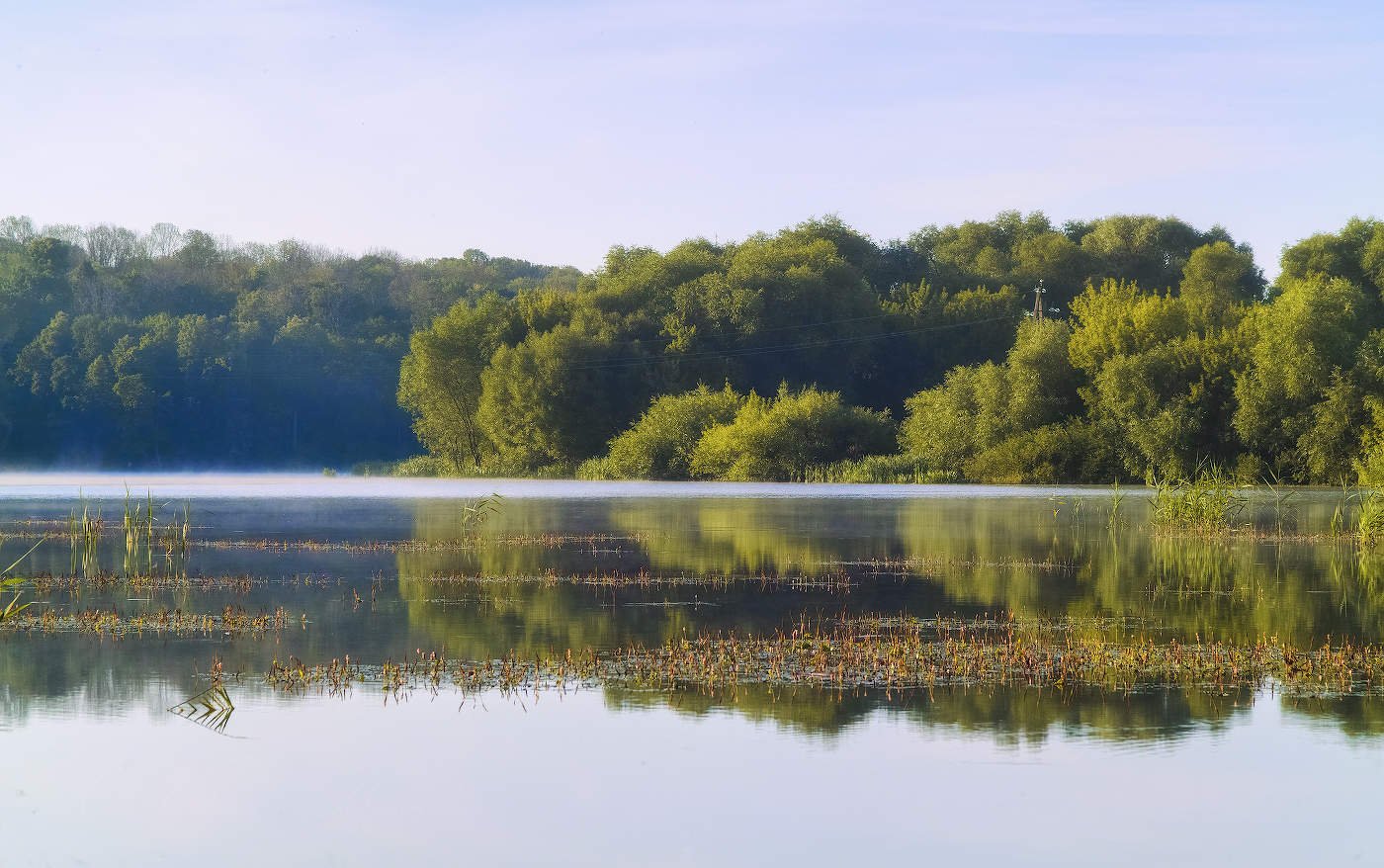 Над речной гладью
