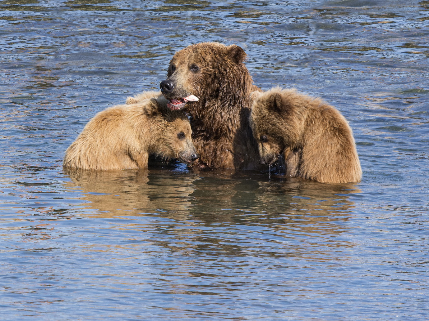 Не наелись.