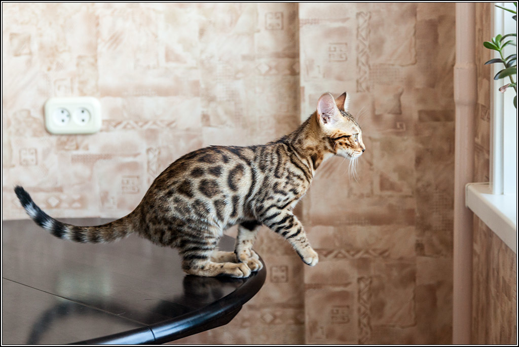 Так хочется весны!