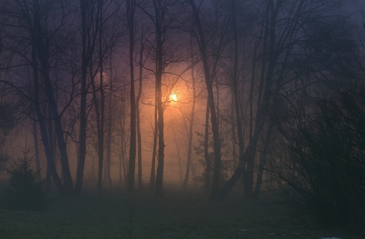 Ночной туман