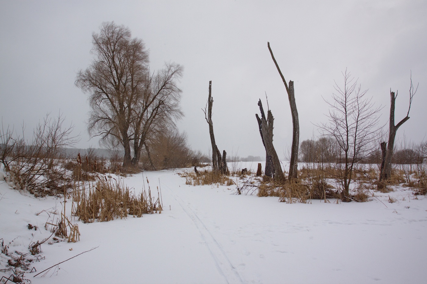 Февральский пригород