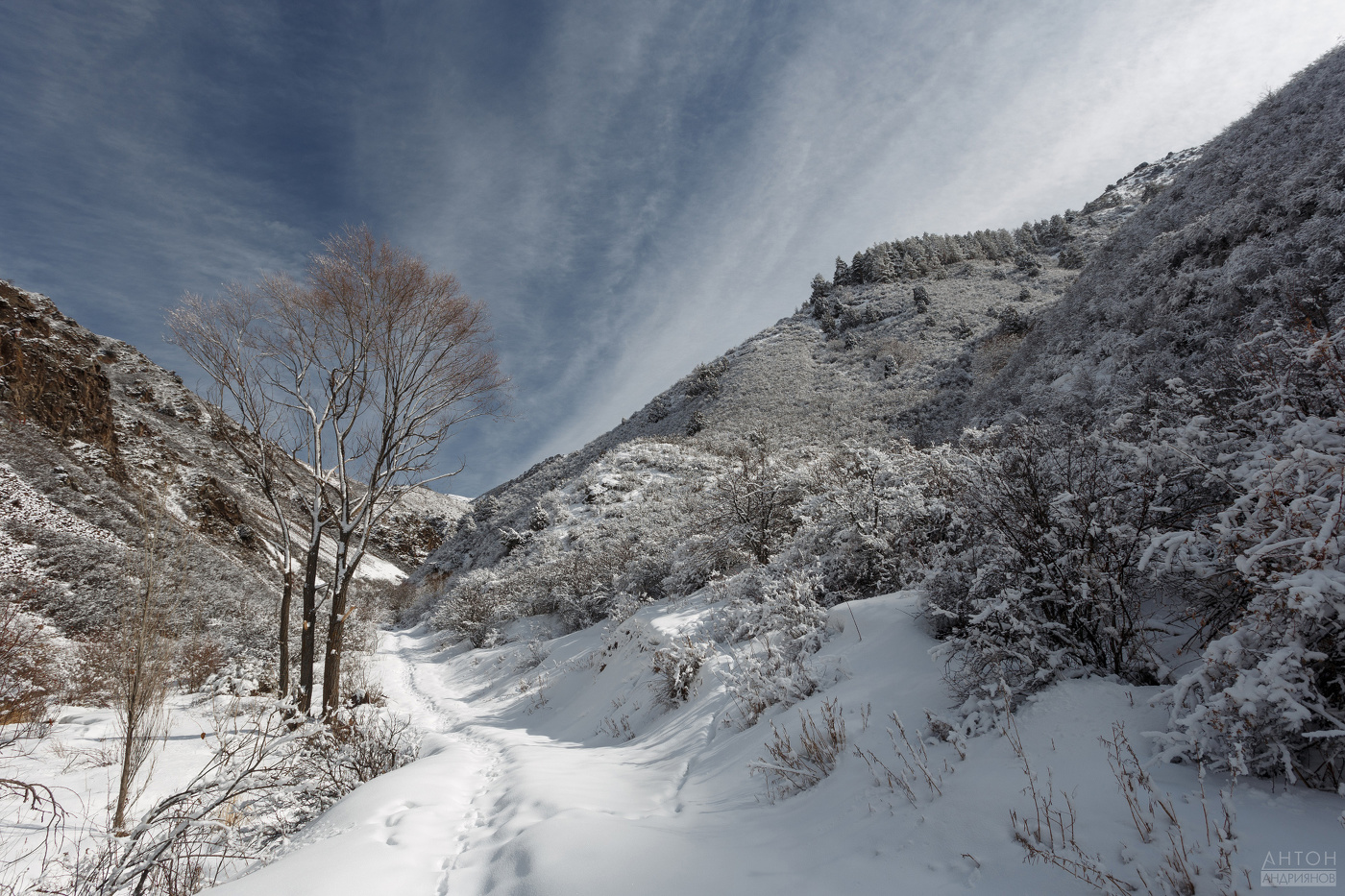Скоро весна