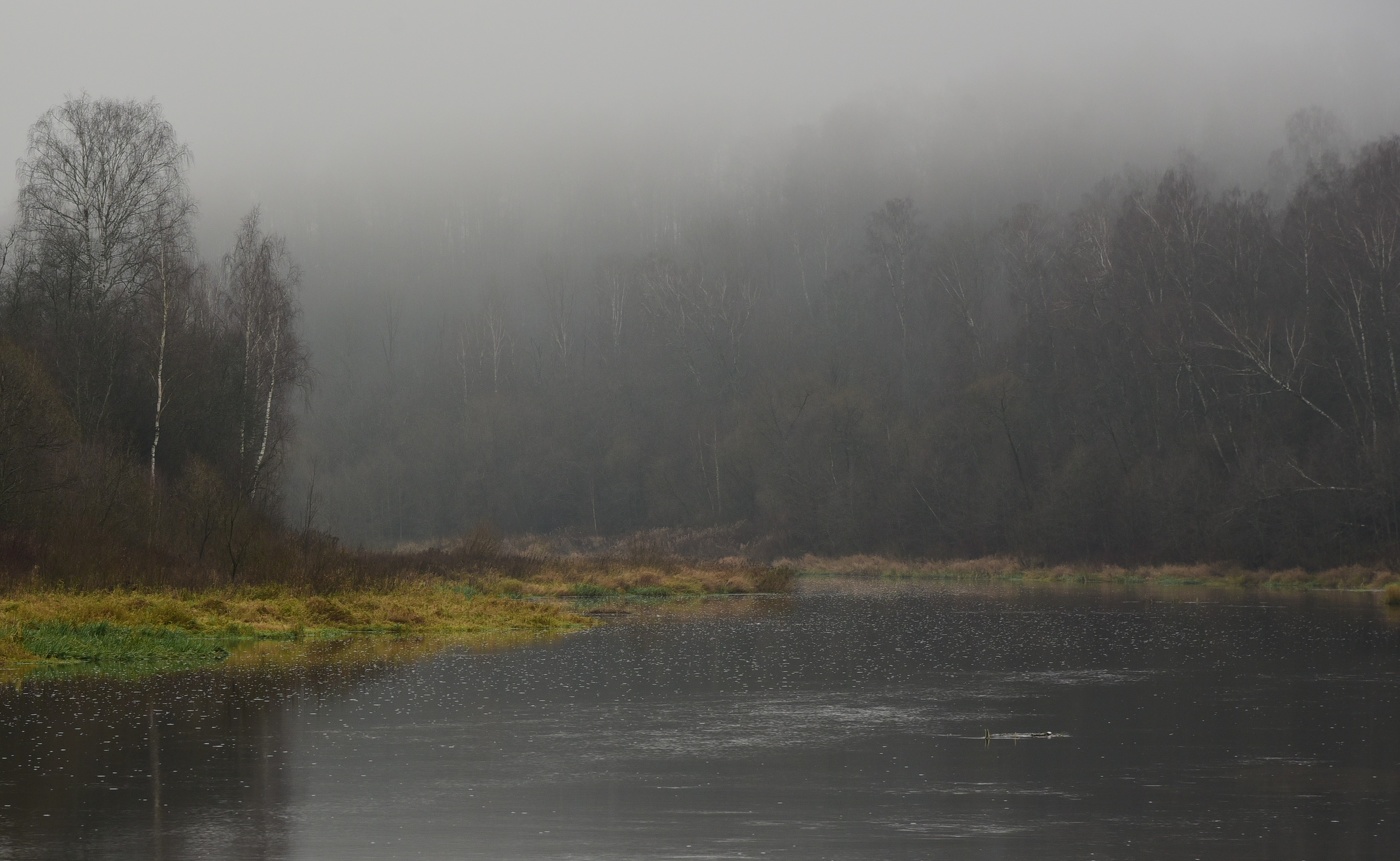 "Туман все вокруг сделал мутным ..."