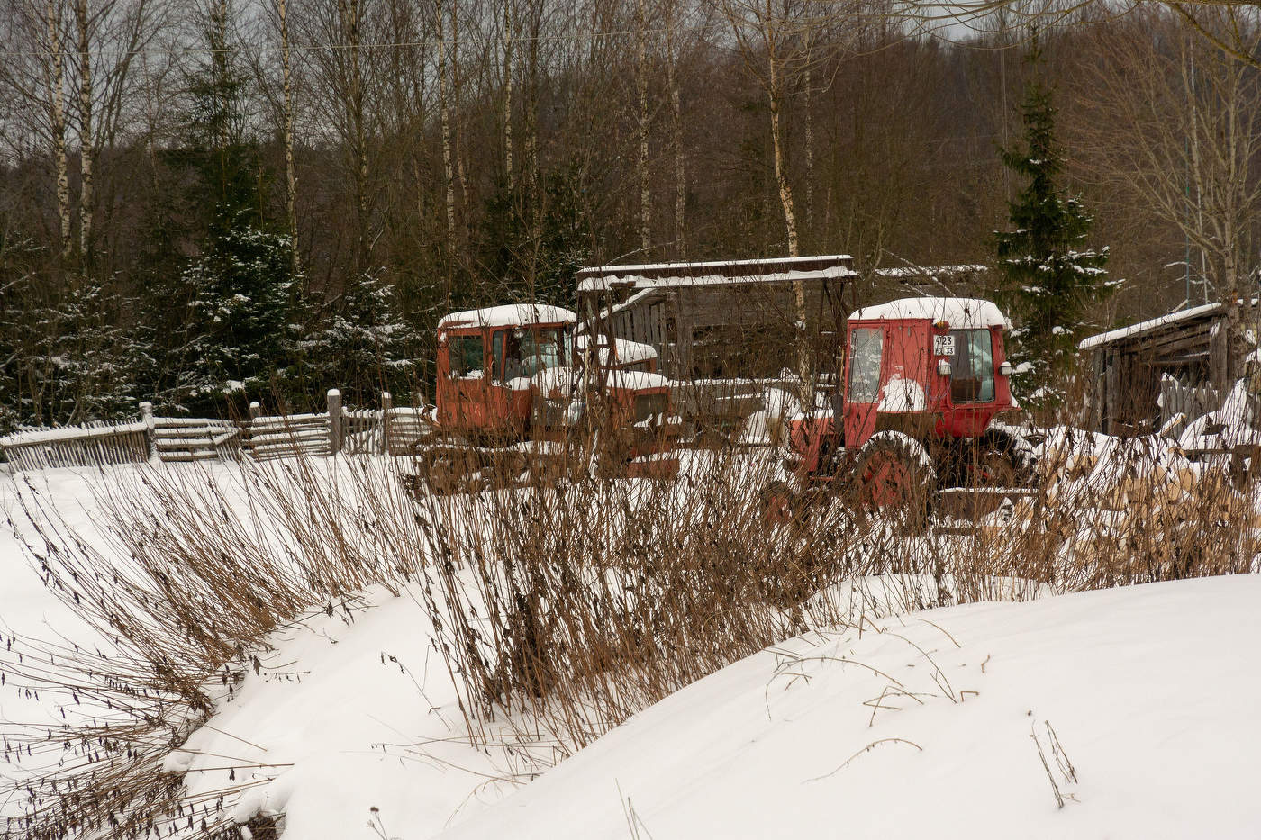 Жизнь вокруг