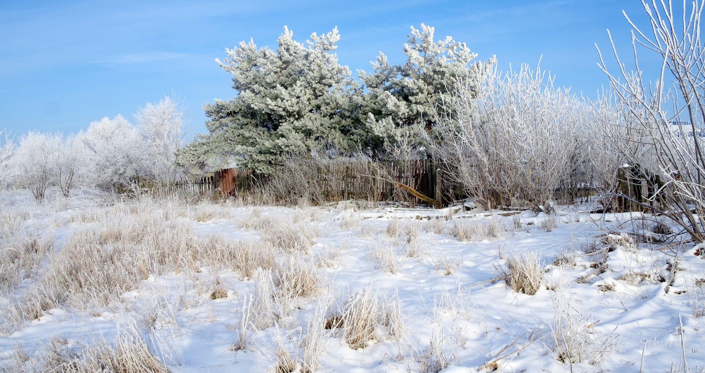 Зимний день.