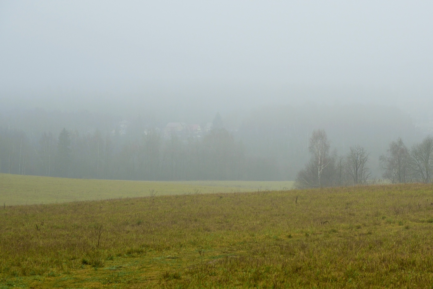 "Туман окутал влажным пледом, поля и темный косогор..."
