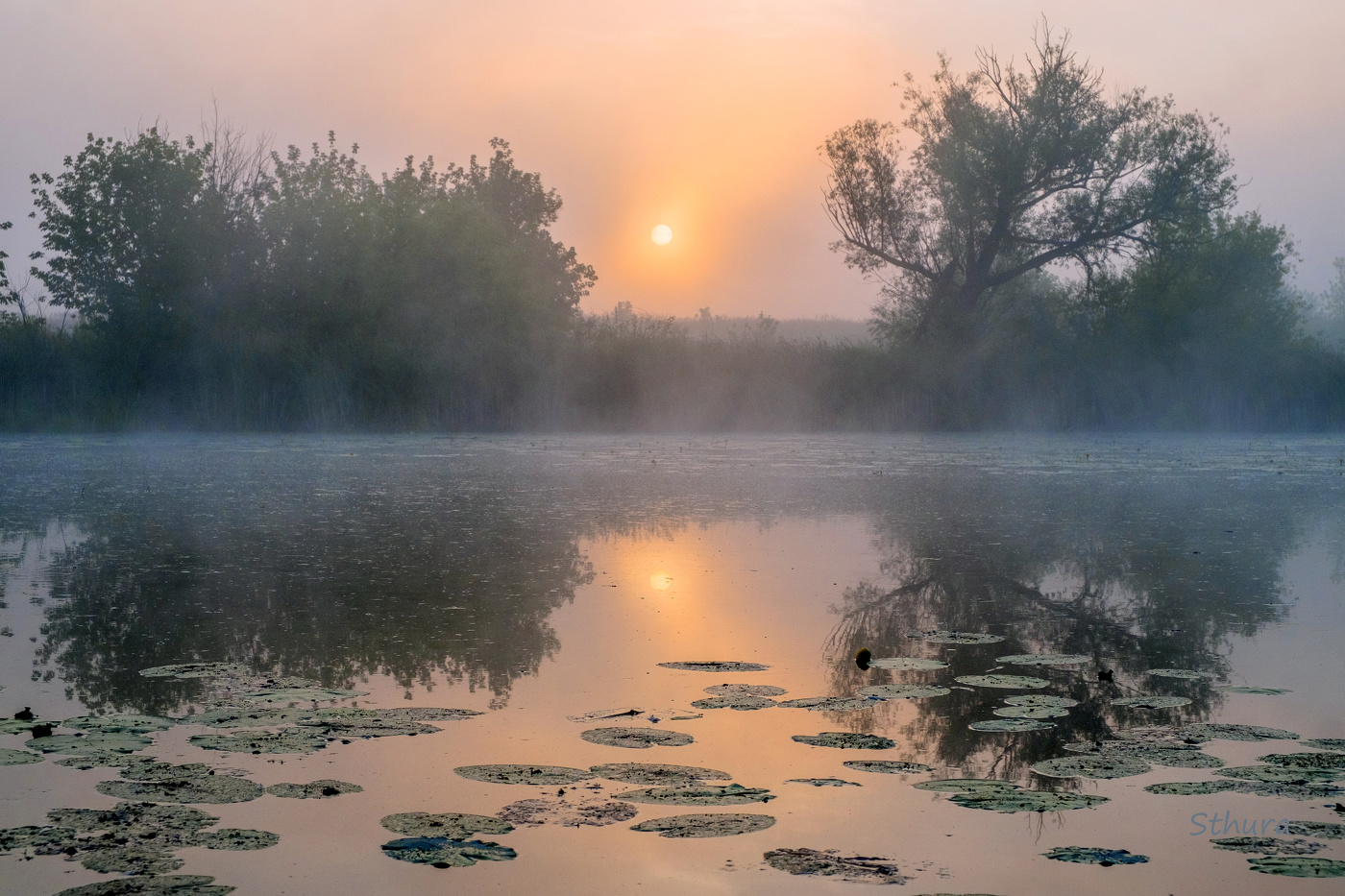 Туман на рассвете.