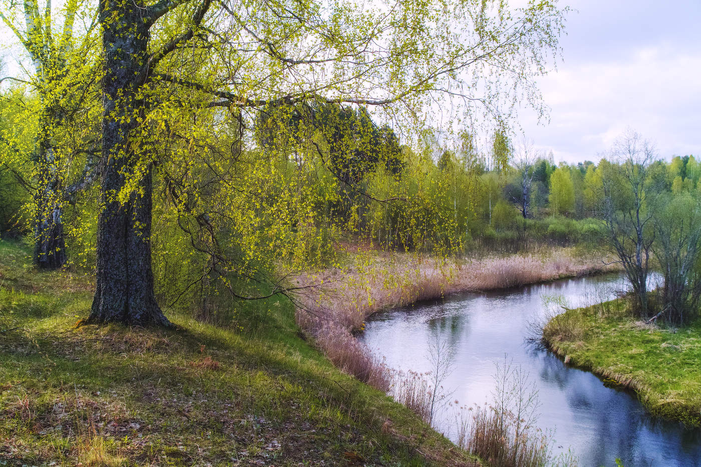 Утро красит нежным светом...