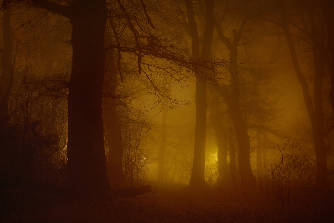 Дубовая роща