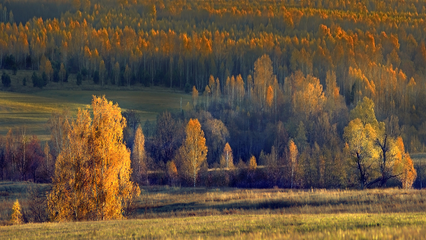 Золотой Идяш