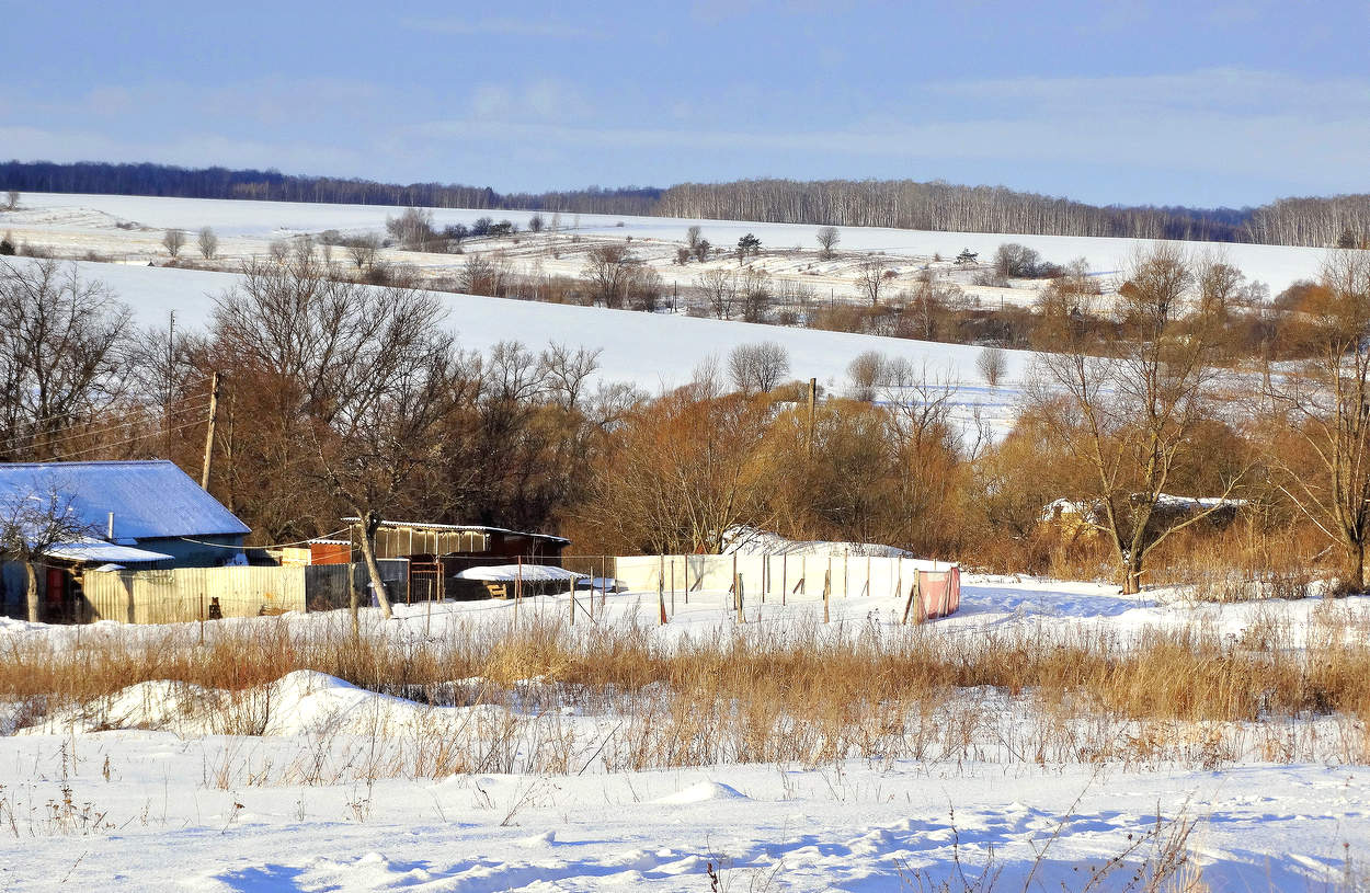 Тихая зимняя жизнь в деревне