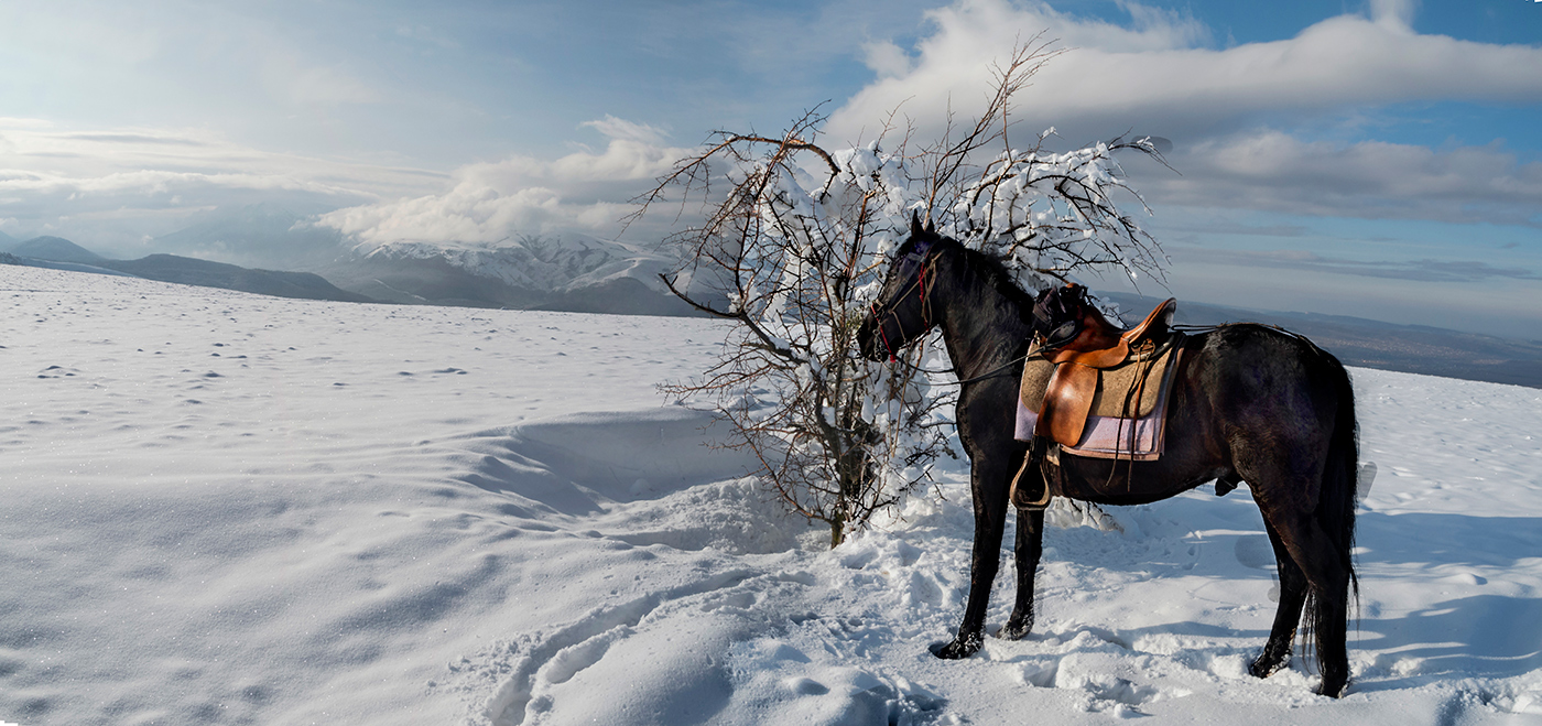 *Однажды, в зимнюю пору