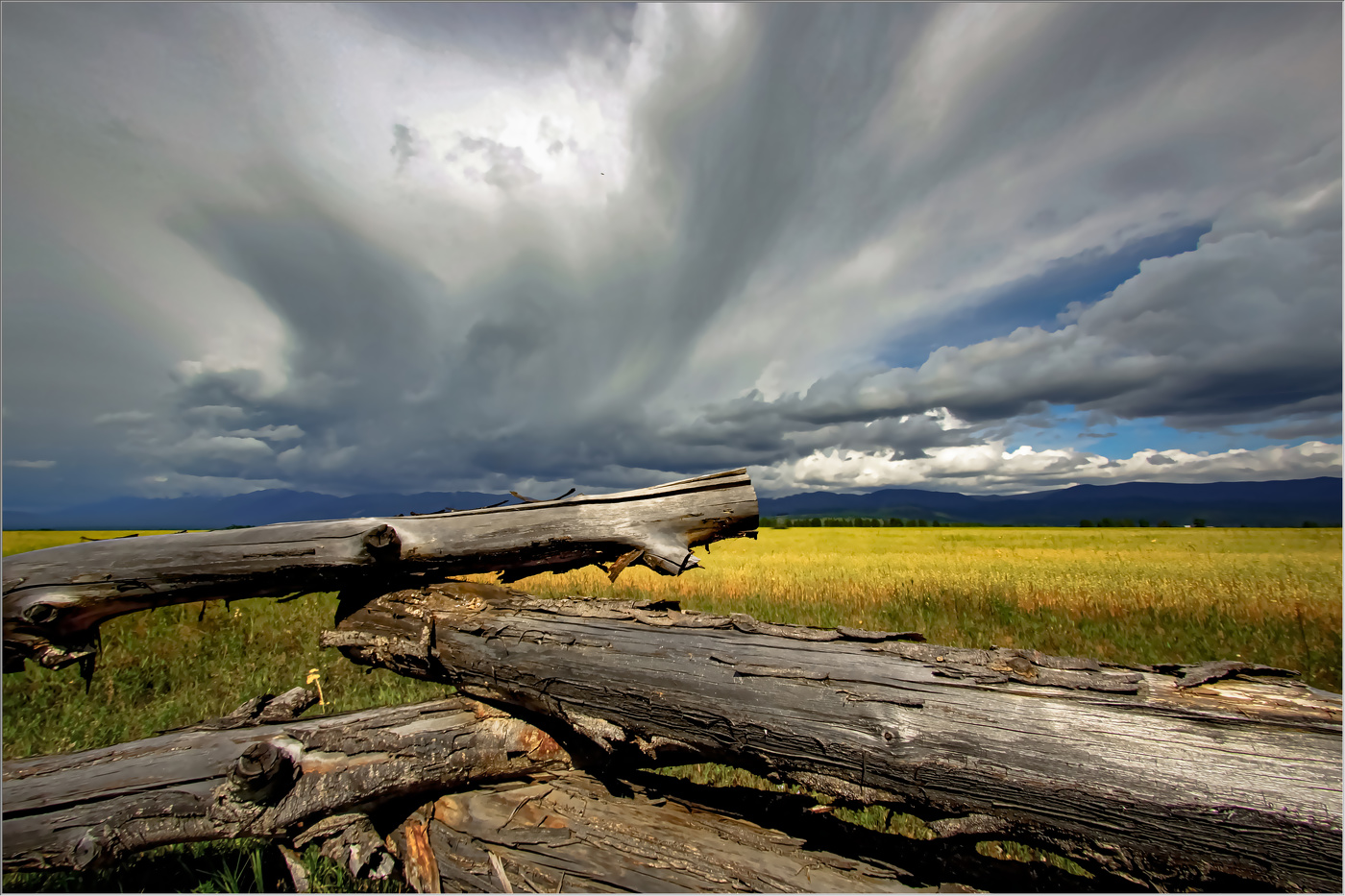 Перед грозой