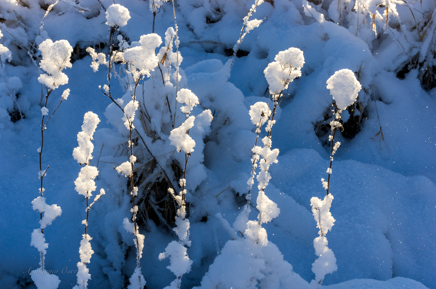 Игрушки зимы.