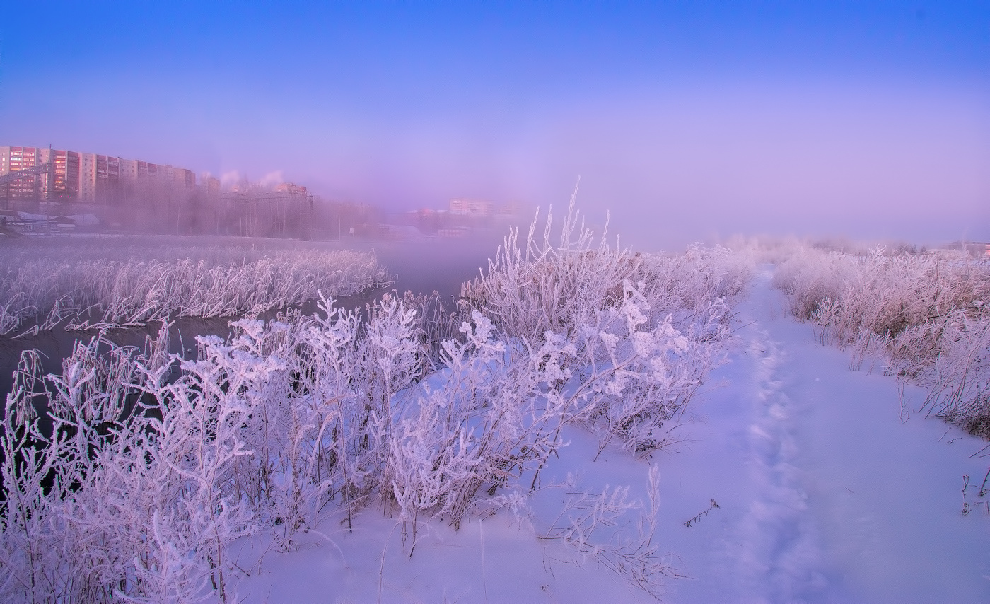 Тропинка в туман