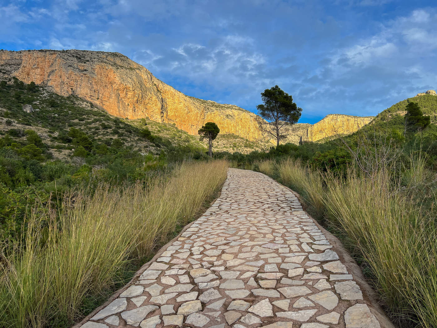 Дорога в горы