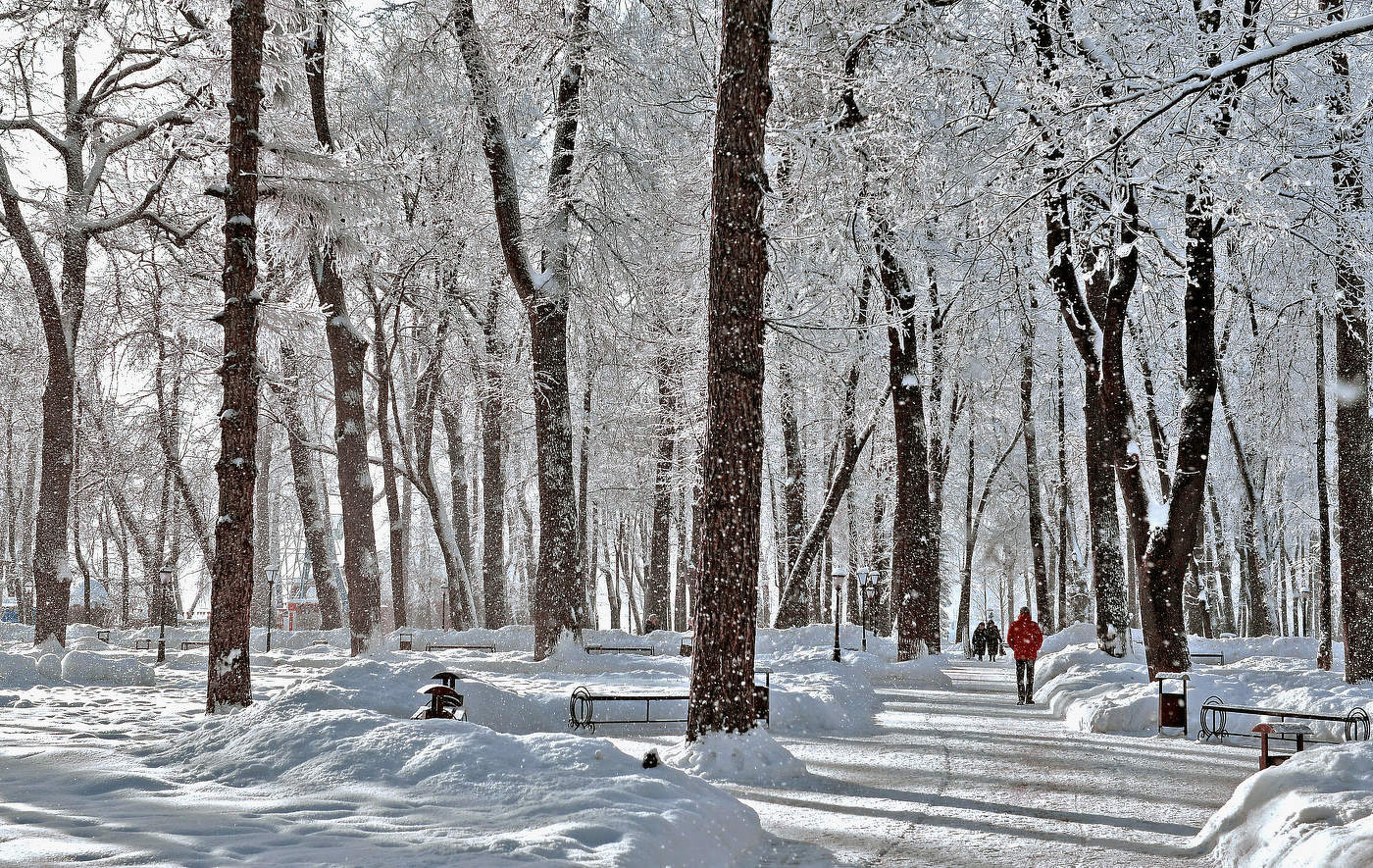 Зимний парк.