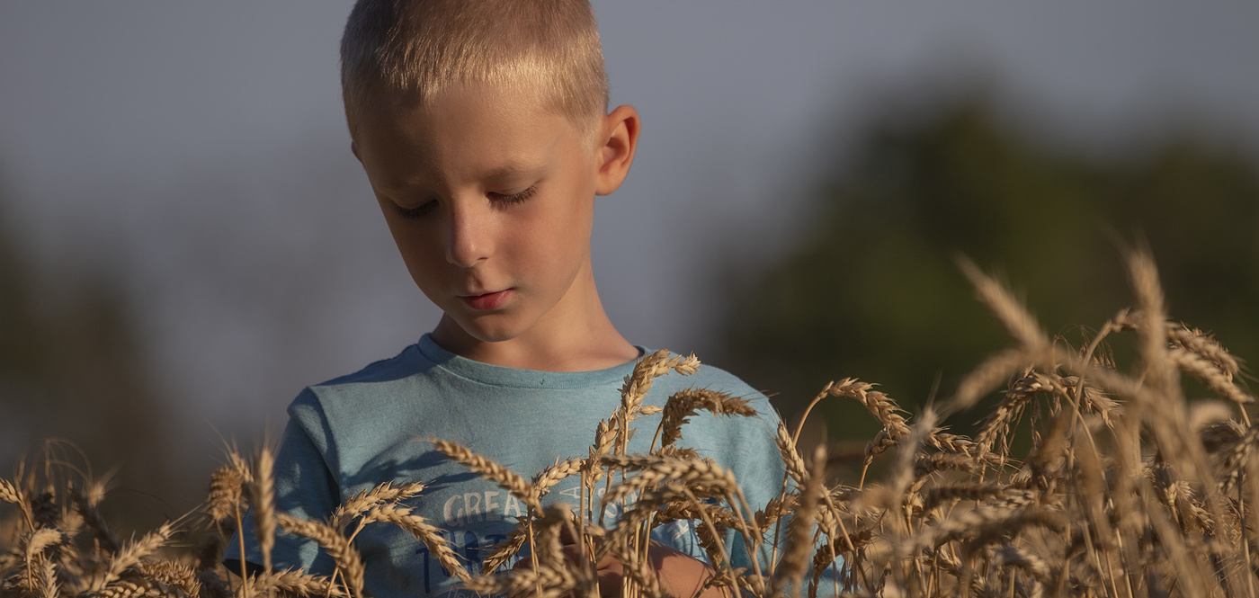 Пшеничный цвет