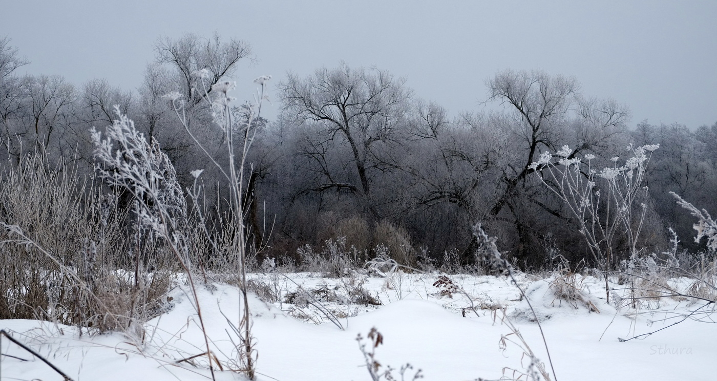 Пейзаж у озера Рожок.