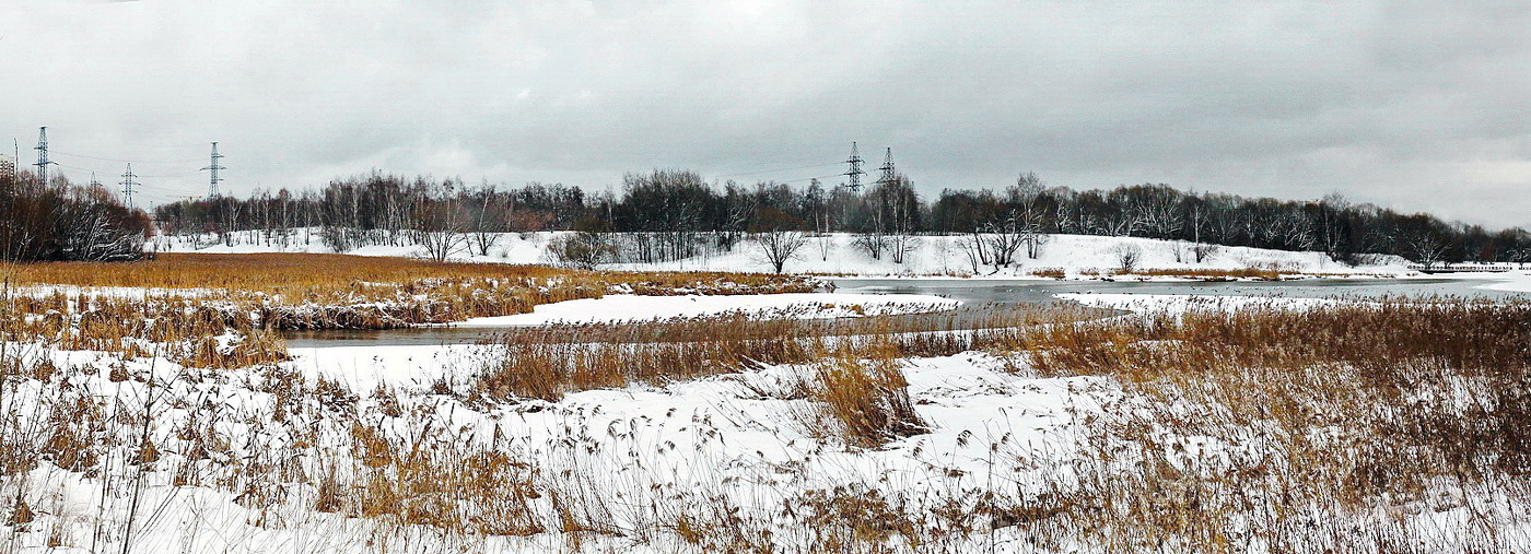 Нижний Царицынский пруд