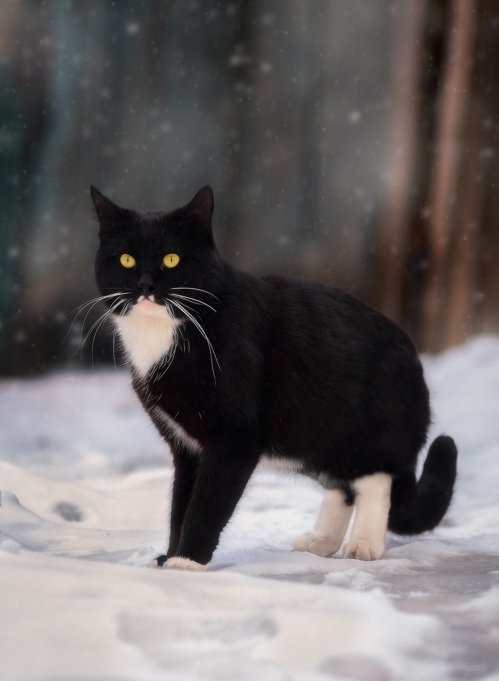 Вышел поохотиться...