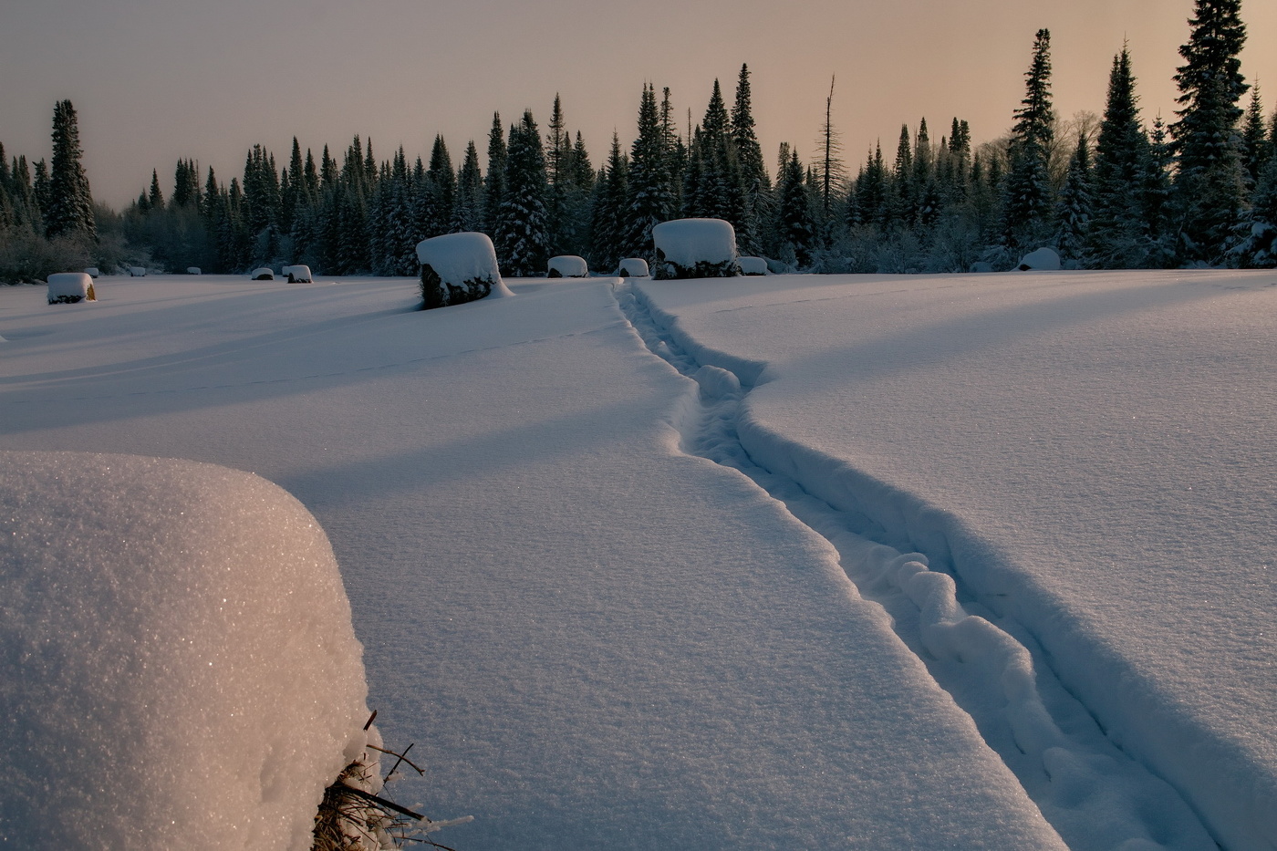 **Коротким зимним днём.*