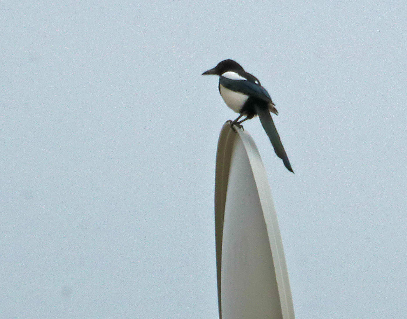 Одиночество