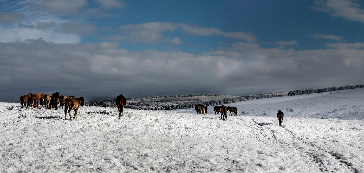 Гармония природы