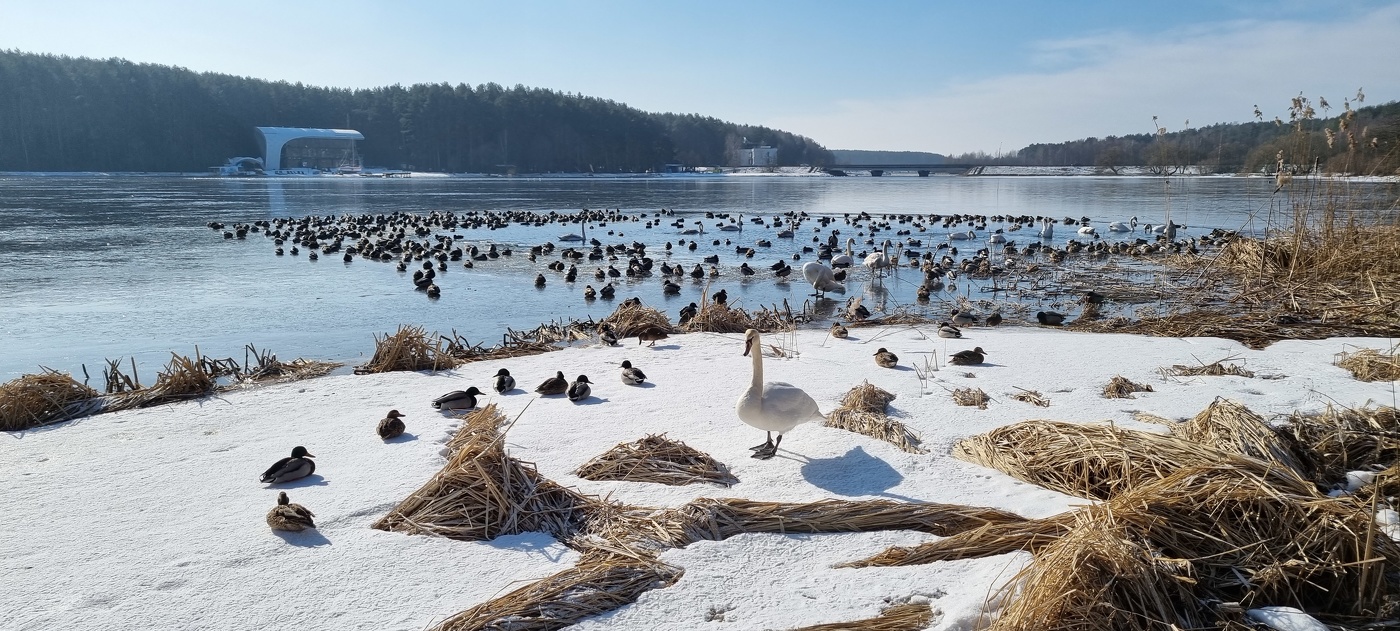 В ожидании Весны...