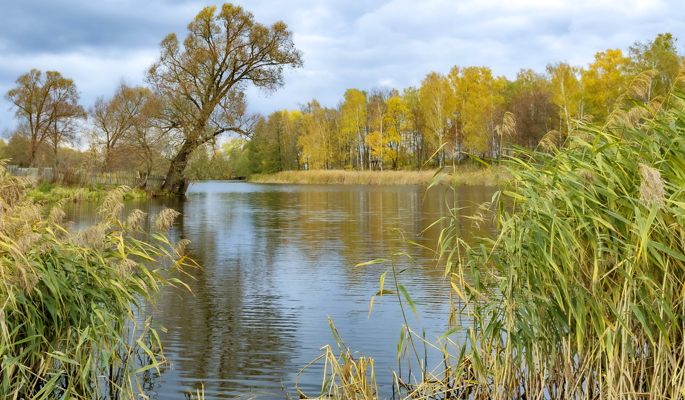 Холодок Осенний у порога...