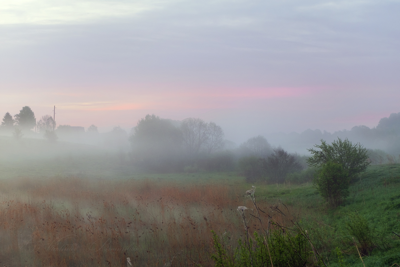 Майский туман