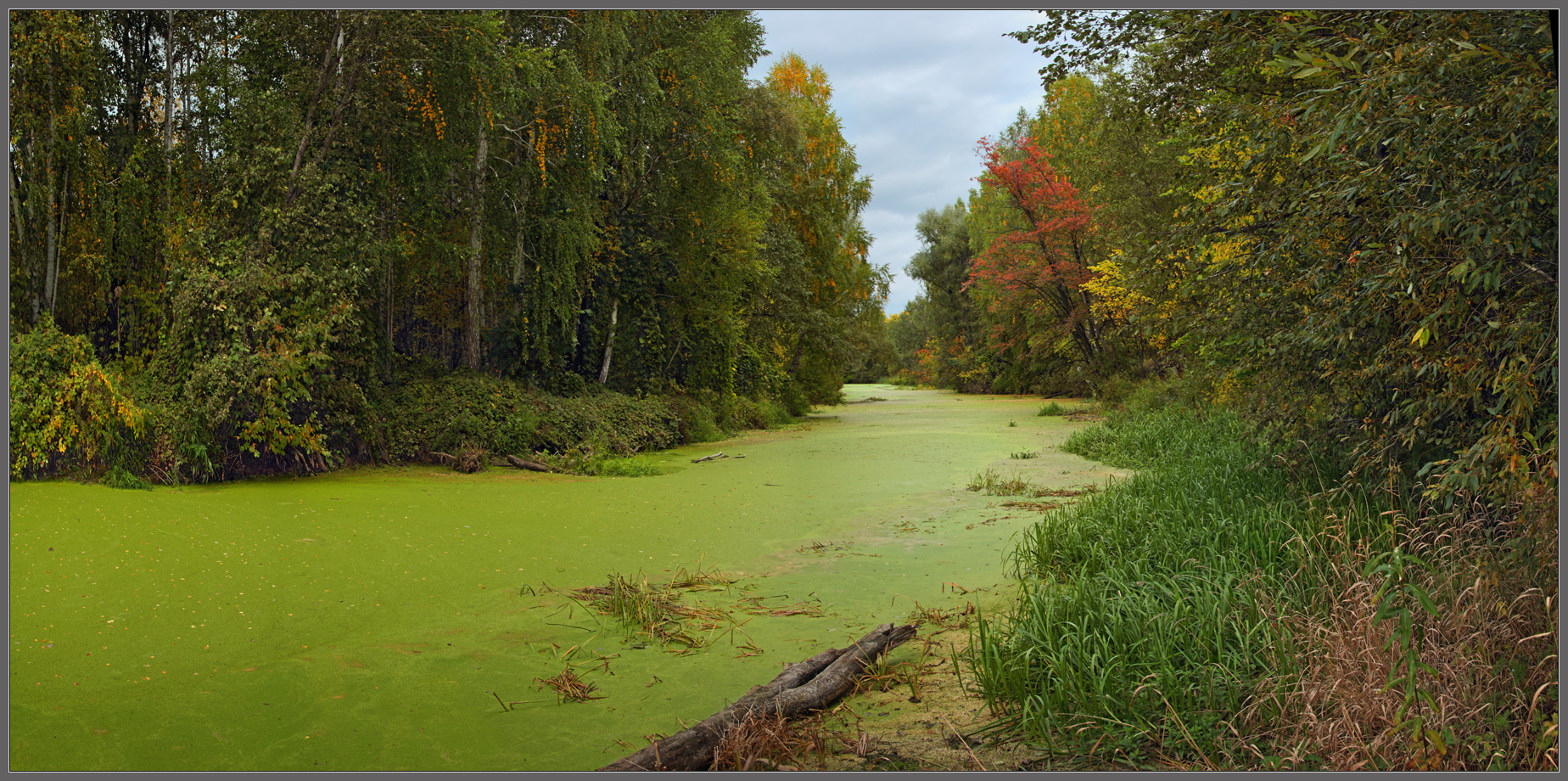 Осенняя тишина