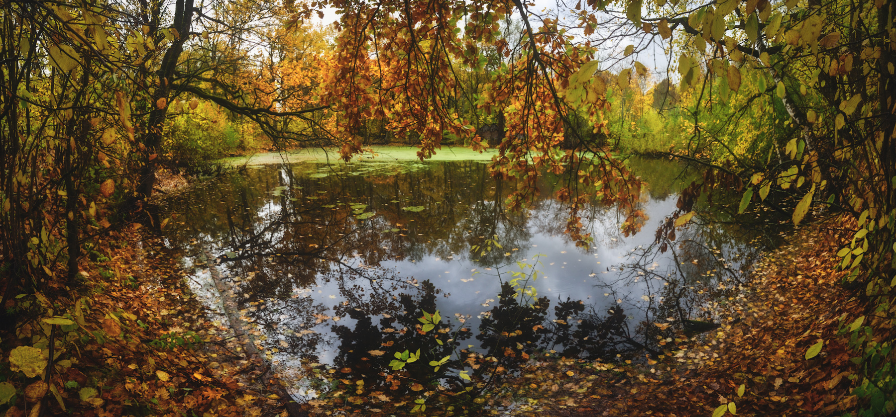 Про лесное озеро