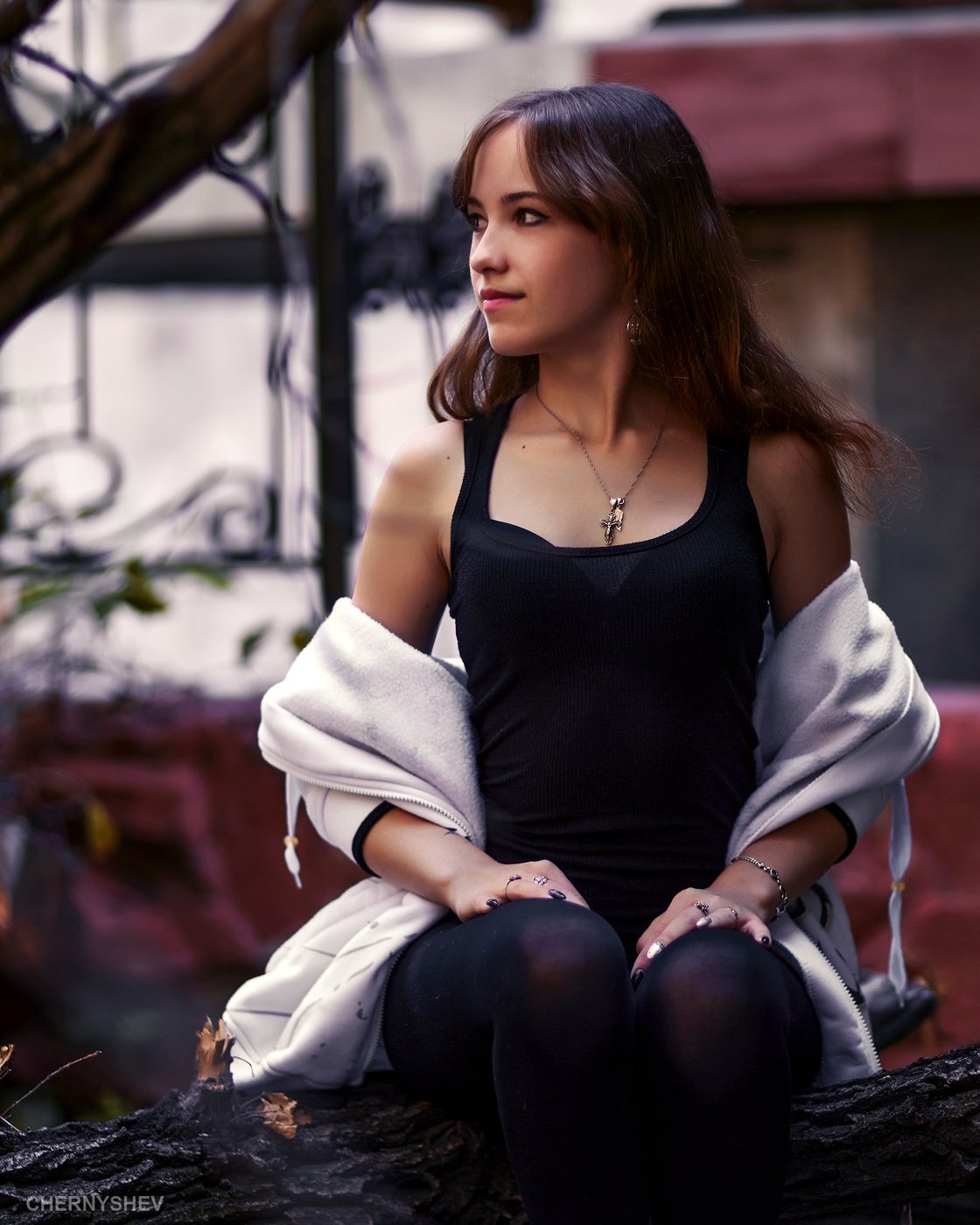 из альбома "логика листьев".