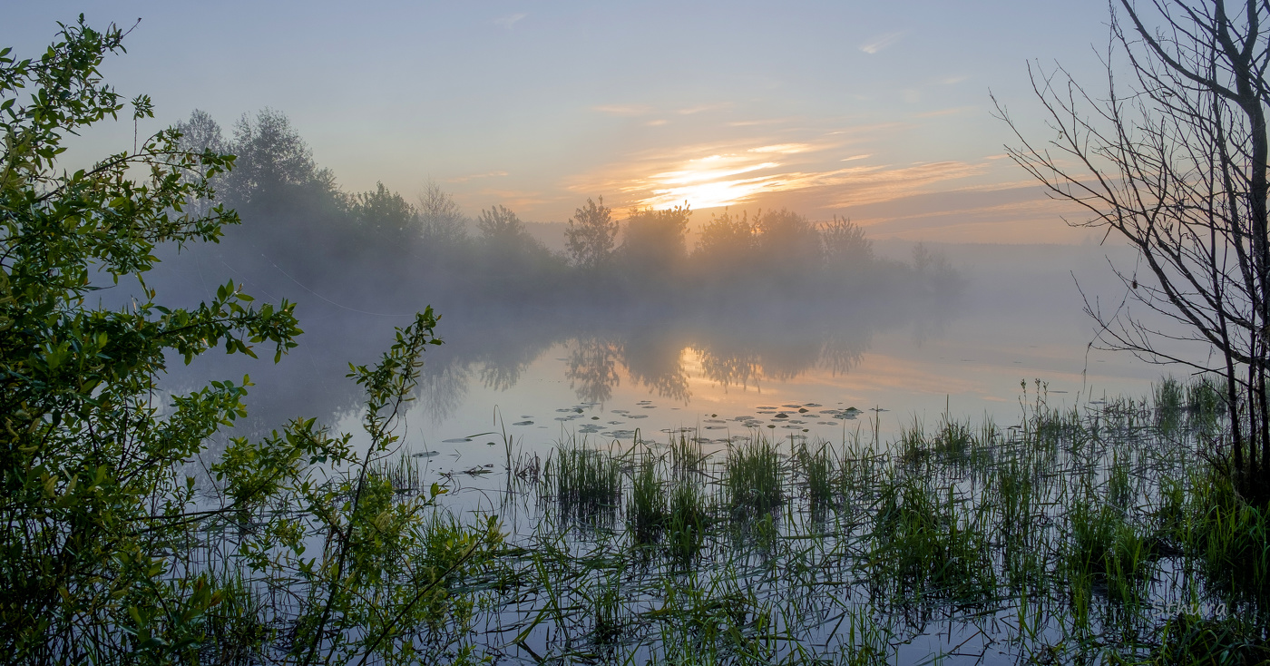 Весна, рассвет.