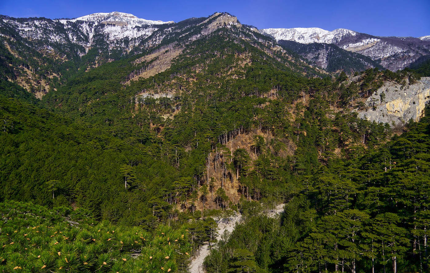 Над урочищем Уч-Кош